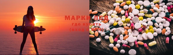 шишки Аркадак