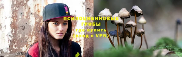 шишки Аркадак