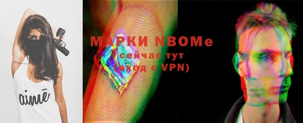 шишки Аркадак