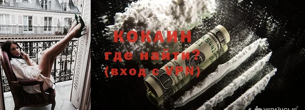 шишки Аркадак