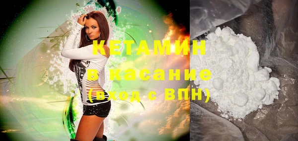 шишки Аркадак