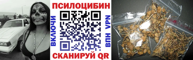 Галлюциногенные грибы Psilocybine cubensis  Купить где  Котельниково 